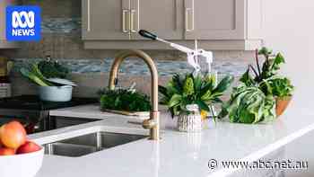 Fake kitchen stone to be stopped at border from January 1