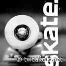 Skatinggame skate. komt volgend jaar uit in early access