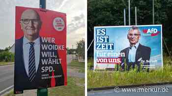 Neue Umfrage vor Brandenburg-Wahl: Bittere Aussichten für SPD-Ministerpräsident Woidke