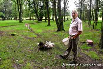 Na 25 jaar blijkt populair dierenparkje een milieumisdrijf: “Mensen smeken om het te behouden”