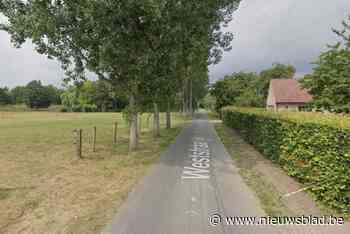 Twee kinderen levensgevaarlijk gewond na auto-ongeval in Aalter