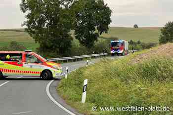 Motorradfahrer kommt zwischen Borgholz und Rothe von der Straße ab