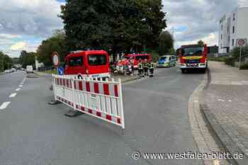Vier weitere Blindgänger in Schildesche entdeckt