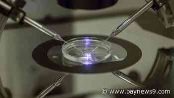 Senate Republicans again block bill to protect IVF