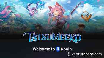 Tatsu Works turns to Ronin for Web3 support for Tatsumeeko life sim