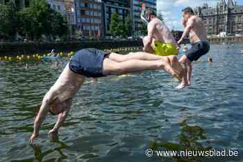 105.000 bezoekers voor Antwerpse openluchtzwembaden, met 5.200 zwemmers in het Bonapartedok