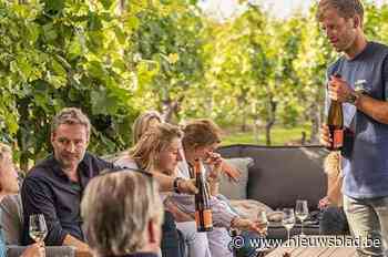 Presidenten en koningen zijn dol op deze wijn: wij fietsten langs druivenranken van Maastricht