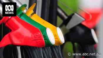 The price you pay for petrol is set to fall even further in coming weeks