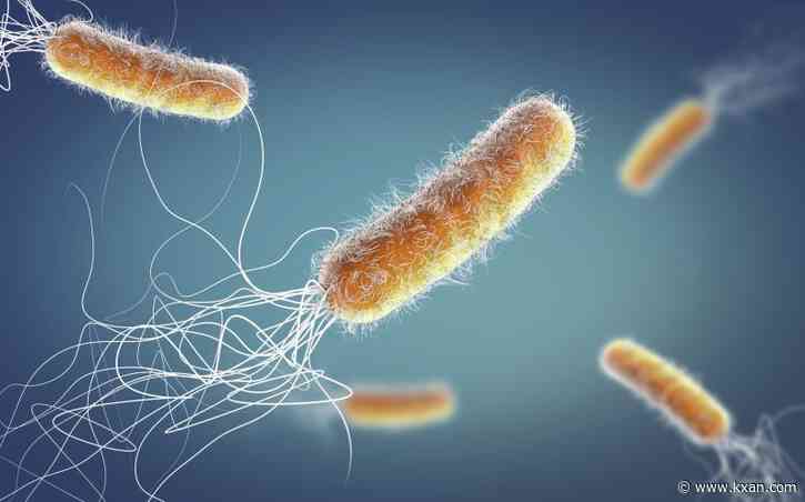 Superbugs could kill 40 million people by 2050, study estimates