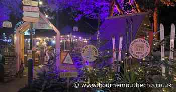 Annual Christmas cafe set to return to Bournemouth