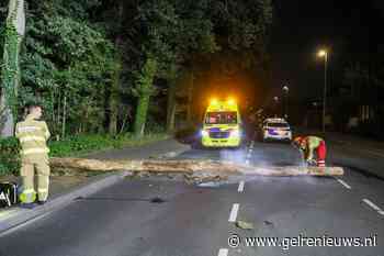 Fietsster botst op omgevallen boom en raakt gewond