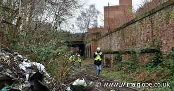Wirral Council to move plans forward for £15m Dock Branch park