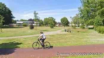Hond die aan de lijn liep doodgebeten door vijf losgebroken honden