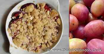 Recipes for autumn treats and traybakes