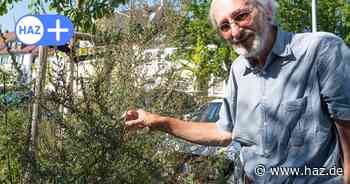 Schluss mit Wildwuchs: Fichtestraße in Hannover-Kleefeld ist gemäht