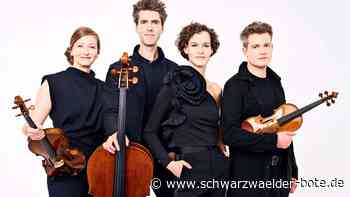 Kultur in Nagold: Vorfreude auf eine  Saison voller Emotionen