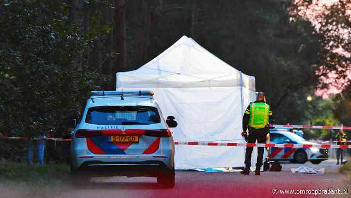 'Uitbaters parenclub aangehouden in zaak vermoorde Bert (57)'