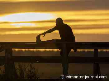 Edmonton weather: Sunshine on a blustery day