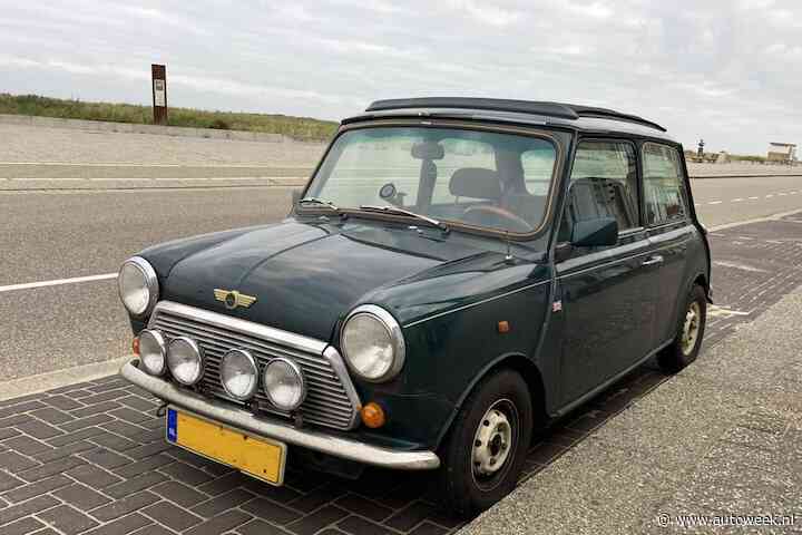 Deze Mini heeft een vleugje blauw bloed - In Het Wild