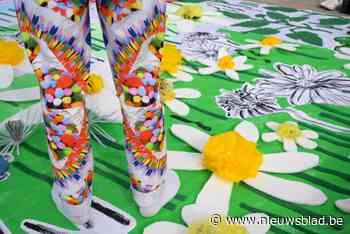 MoMu geeft de aftrap van DAKkan. “Onze stad telt 1.5 miljoen platte daken. Daar moeten we echt iets mee doen”