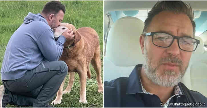 “Ho perso il mio cane, un rifugio lo ha trovato ma quando sono andato a prenderlo me l’hanno ridato in un sacco di plastica. Lo hanno ammazzato”: la storia di John e del labrador Gunner