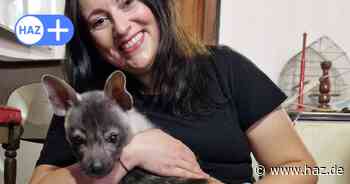 Lebenstraum in Afrika: So rettet Hannoveranerin in Zimbabwe wilde Tiere