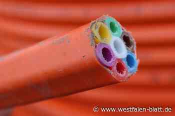 Glasfaser in Warburg: Keine Millionen aus dem städtischen Haushalt