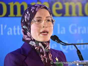 National Assembly again calls for resignation of anti-Islamophobia representative Elghawaby