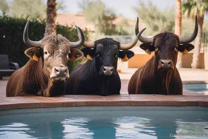 Bitcoin koers op weg naar recordhoogte: Volgende mijlpaal $65.000 in zicht