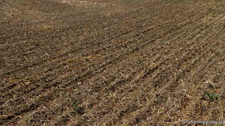 Province, feds renew $1.5M in programs helping B.C. farmers adapt to climate change