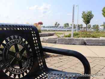 Rotary dedicating peace pole in Centennial Park