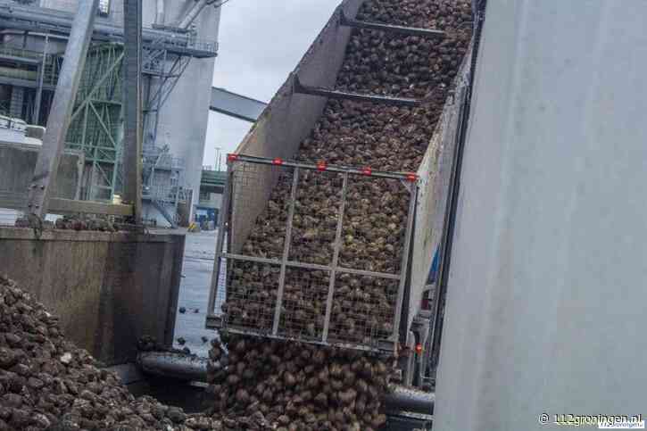 Bietenwagens rijden vanaf vandaag weer af en aan naar Hoogkerk Cosun Beet