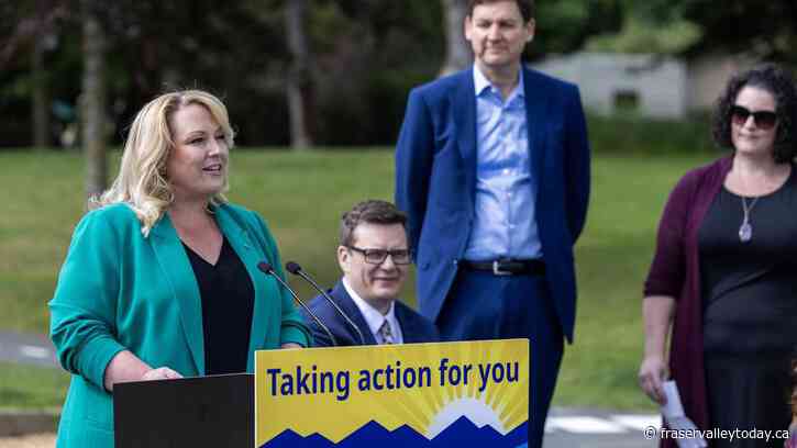 $5M for Harrison Lake dike upgrade included in B.C. funding seeking to reduce climate disasters