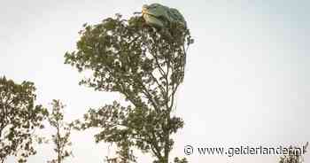 Airborne-sprong mislukt volledig: negen parachutisten komen in bomen terecht, ‘enkelen gewond’