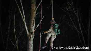 Vijf of zes parachutisten belanden in boom tijdens Airborne-sprong