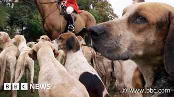 Hunt riders failed to stop fox pursuit, court told