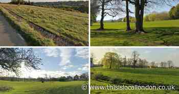 The top five walks to welcome the autumn season in Croydon