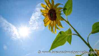 Region Braunschweig: So wird das Spätsommer-Wetter am Wochenende