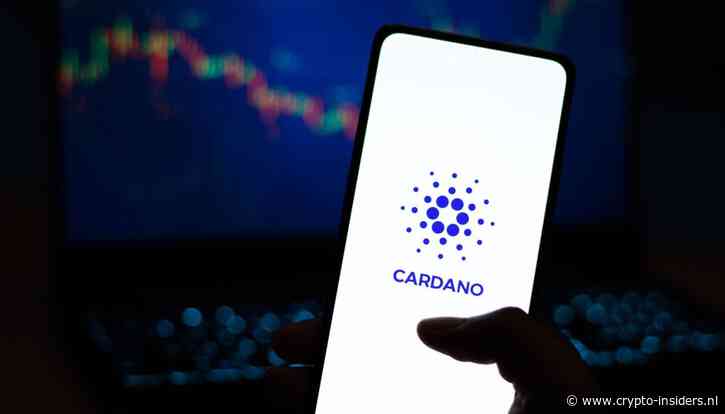 Veelbelovend project geeft cardano nieuwe kans om weer te schitteren