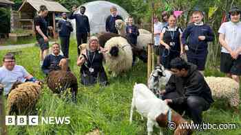 School shortlisted as one of the 'world's best'