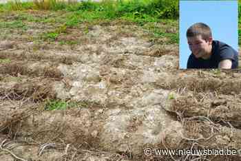 Dieven stelen ruim 250 kilogram aardappelen bij boer Jan (33): “Ze deden dit in verschillende keren, dit moet echt stoppen”