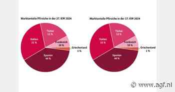 'Einde van het Europese steenfruitseizoen nadert'