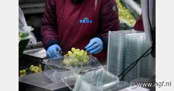 "Griekse druivenoogst aanzienlijk lager"