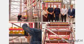 Hybride teelt met vertical farm in kas