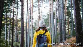 Green Fatigue und neue Markenwerte