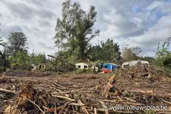Vervallen caravans opgeruimd en zieke bomen gekapt: ‘weekendbosje’ wordt teruggegeven aan de natuur