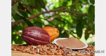 "Chocoladeprijzen stijgen nog verder"