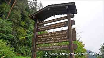 Parksituation in Bad Liebenzell: Kommen die Parkplätze für den Kaffeehof?
