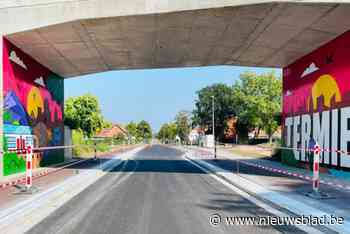 Nieuwe spoorbrug in Termien heeft nu ook muurschilderijen, met trein, Romeins aquaduct en parachutespringer