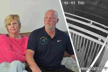 Kritiek op beheer Breugelhoeve: “Toen een inbreker bij onze hengst stond, was de maat vol”